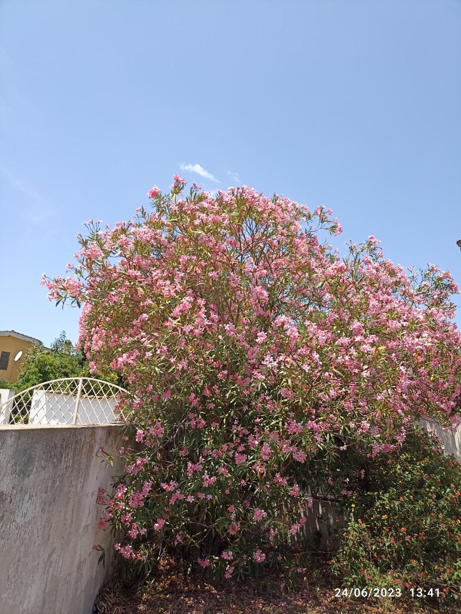 Villa William Quartu Sant'Elena Bagian luar foto